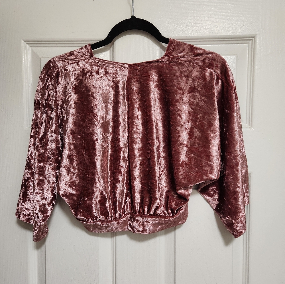 Subdued Mauve Raspberry Crushed Velvet Crop Top S… - image 5